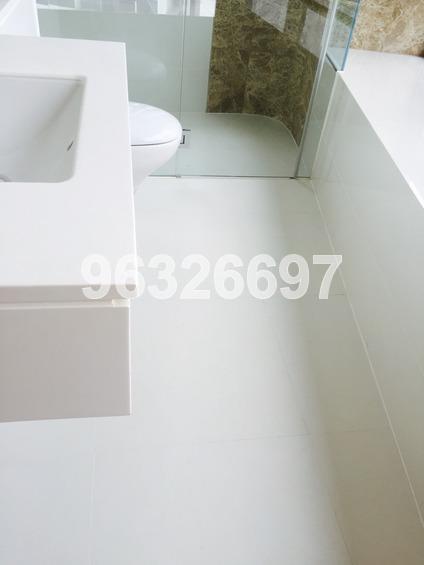 D'Leedon (D10), Condominium #173216712